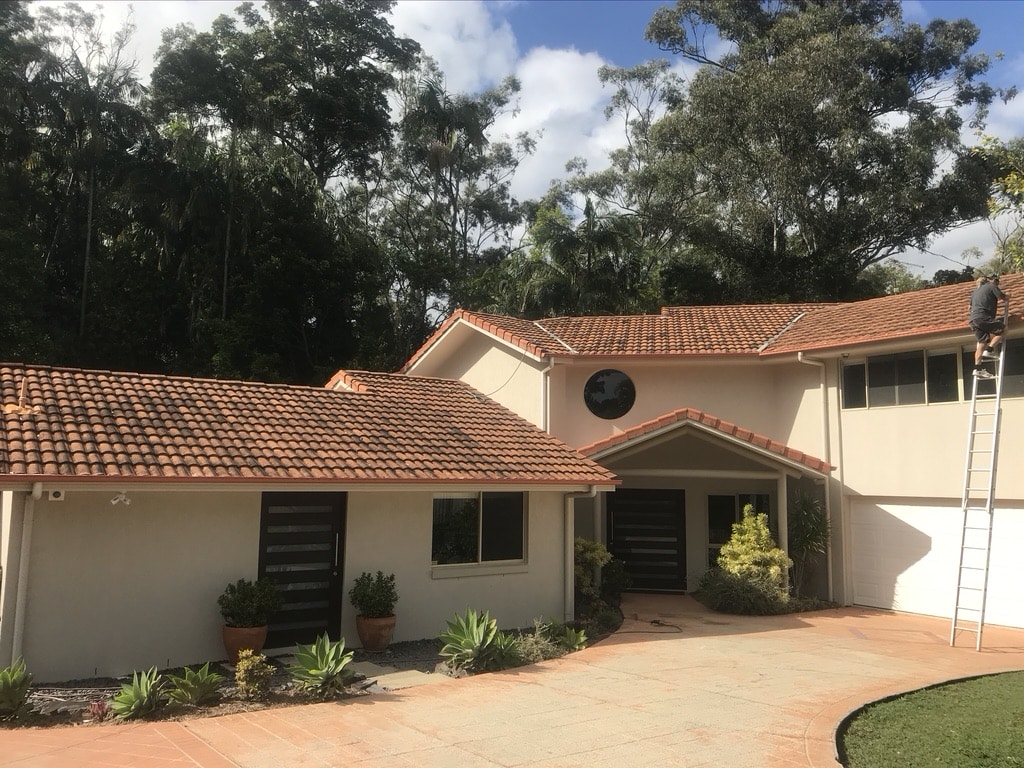 Professional roof cleaning uses ladder to climb and clean roof