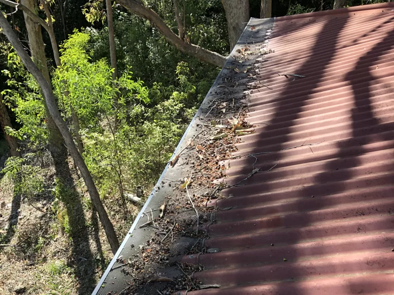 Gutter cleaning