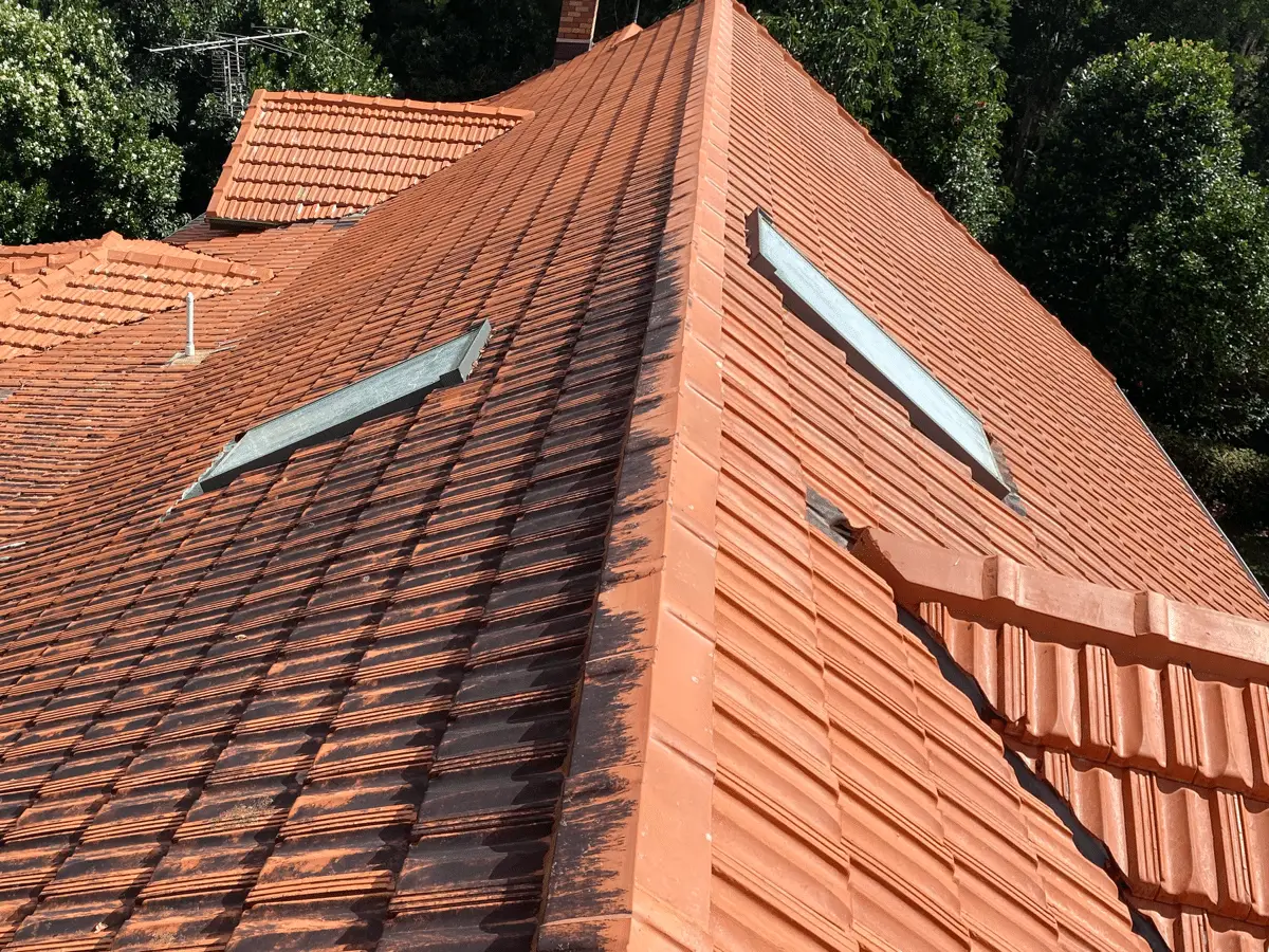 Roof Cleaning before and after