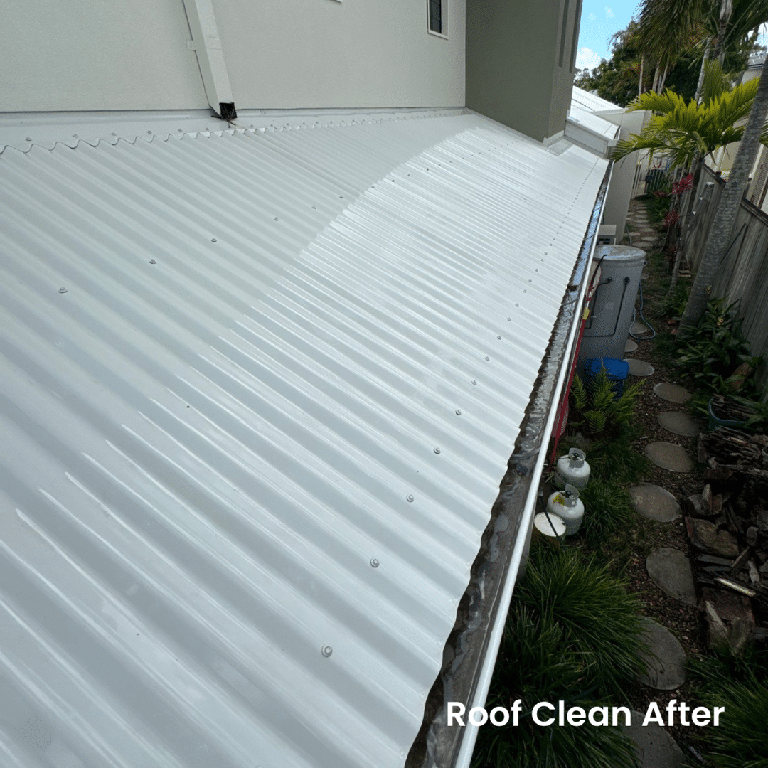 roof cleaning caloundra