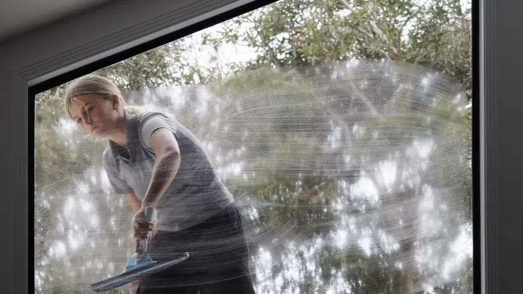 Window Washing Services